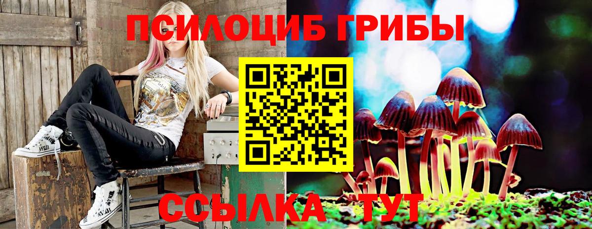 Галлюциногенные грибы прущие грибы Петропавловск-Камчатский